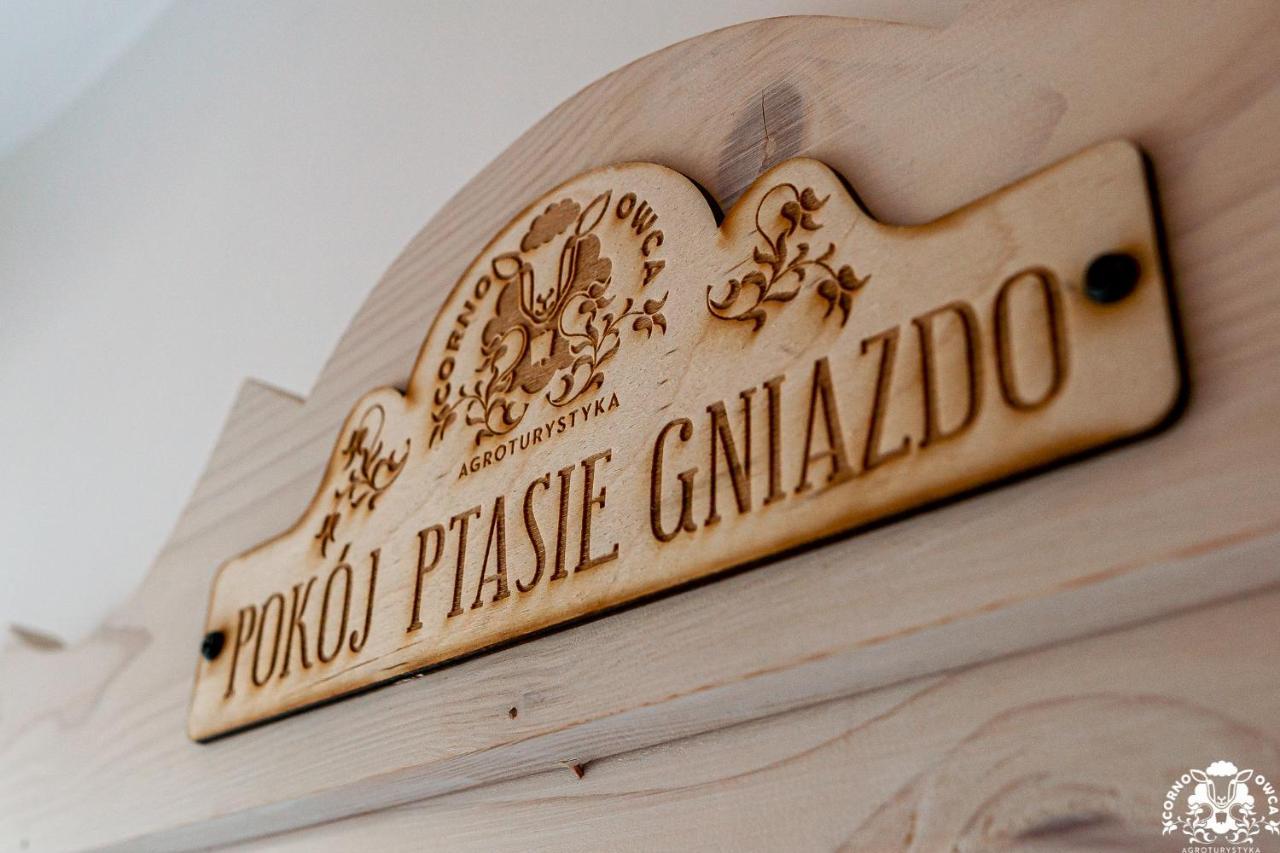 Agroturystyka Corno Owca Zabnica エクステリア 写真