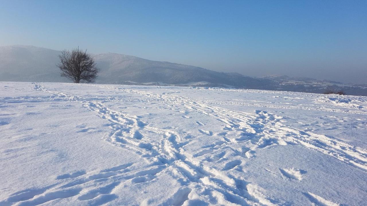 Agroturystyka Corno Owca Zabnica エクステリア 写真